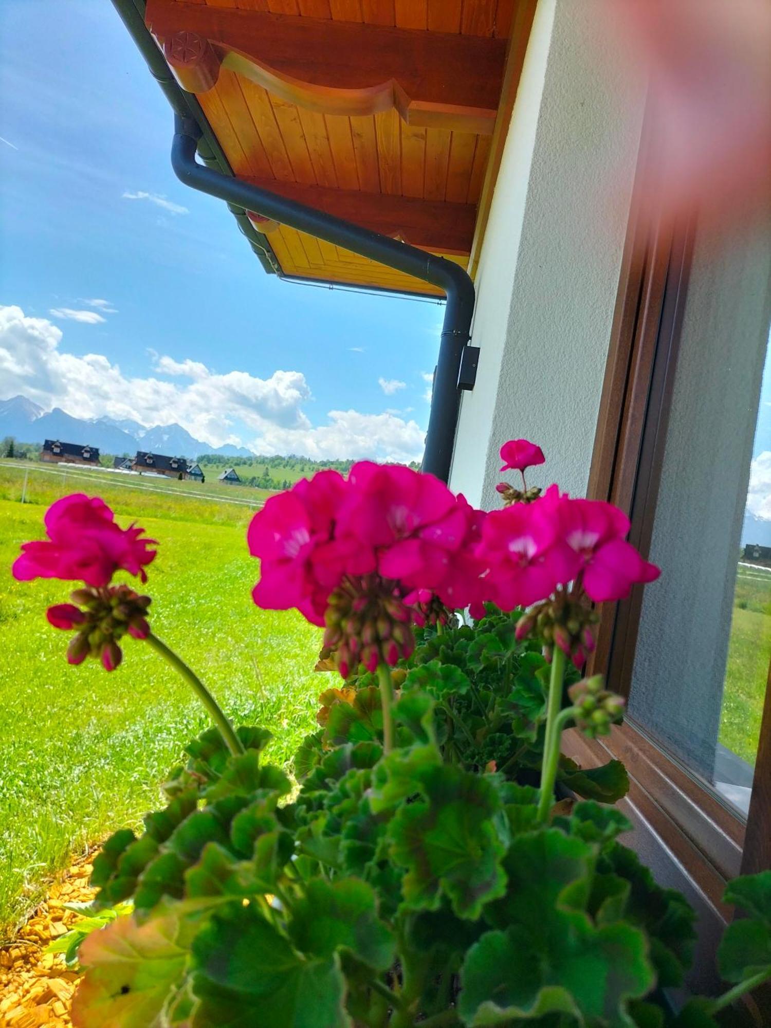 Homestay Bialczanska Ostoja *